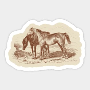 Brown Horses Retro Vintage Illustration Sticker